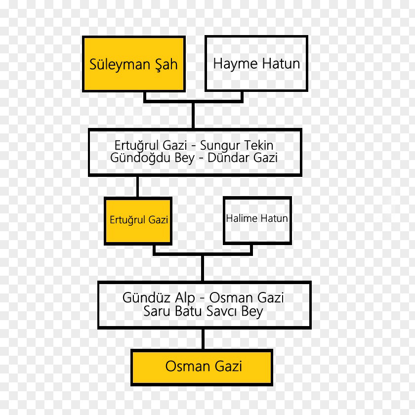 Shah Treatment Of Cancer Family Tree American Association For Research PNG