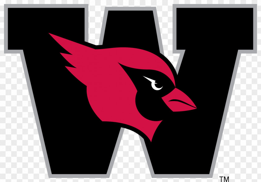 Basketball Logo Pictures Download Wesleyan University Cardinals Football Western New England Drew Roger Williams PNG