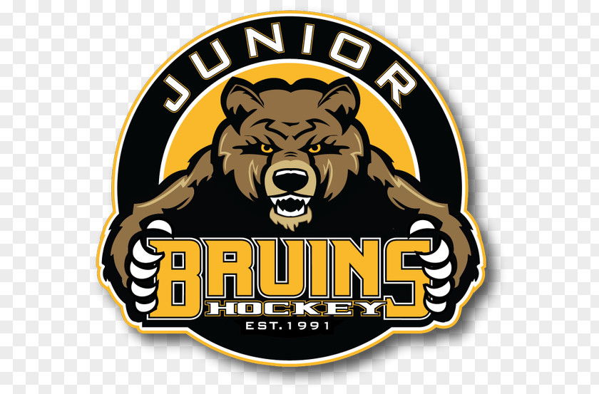 Boston Junior Bruins Bandits Ice Hockey Logo PNG