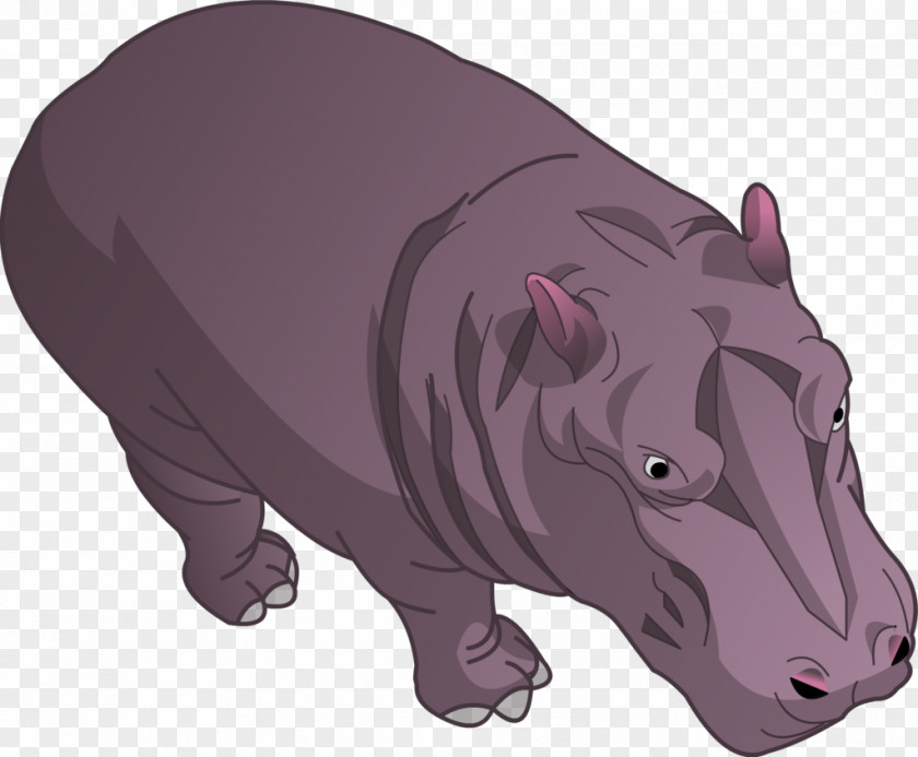 Cartoon Hippo Hippopotamus Domestic Pig Lion Illustration PNG