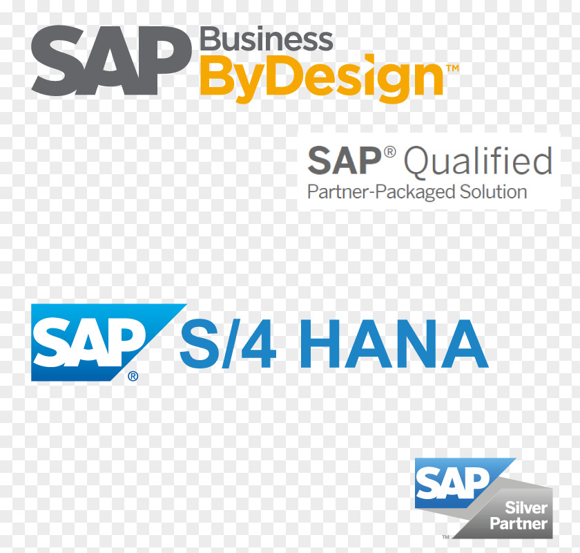 Cloud Computing SAP S/4HANA HANA SE Business One Suite PNG