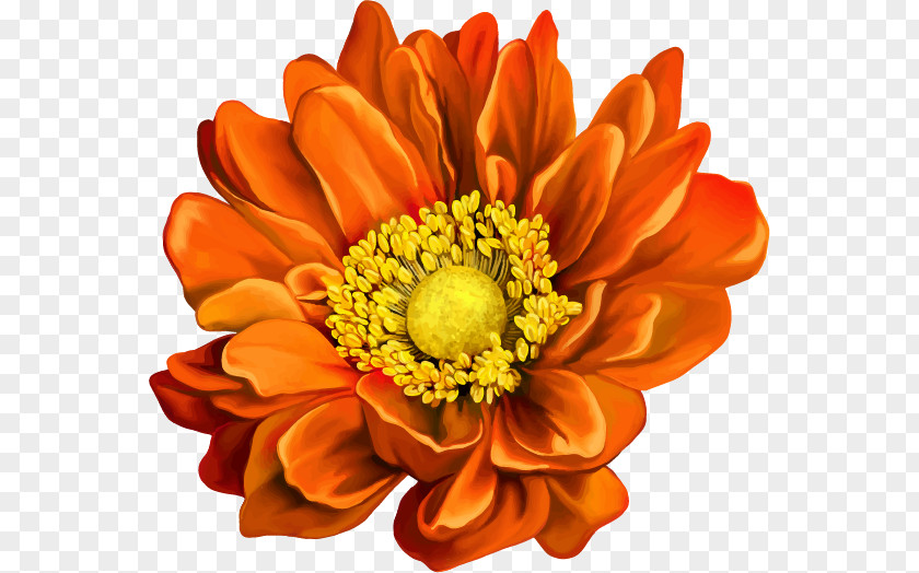 Flower Returning: The Stock Photography Vector Graphics Amazon.com PNG
