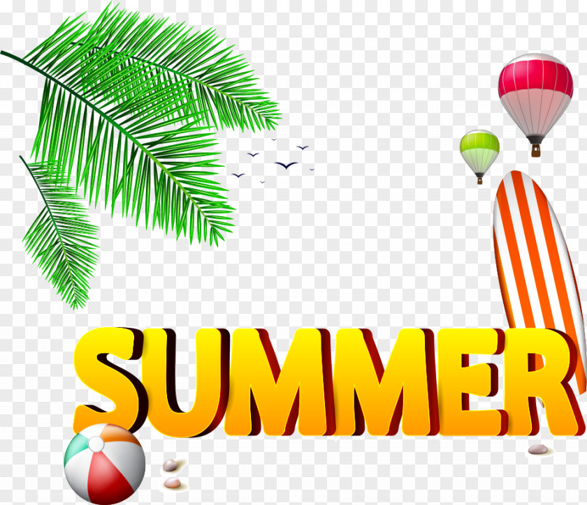 Summer Fonts Beach Ball PNG