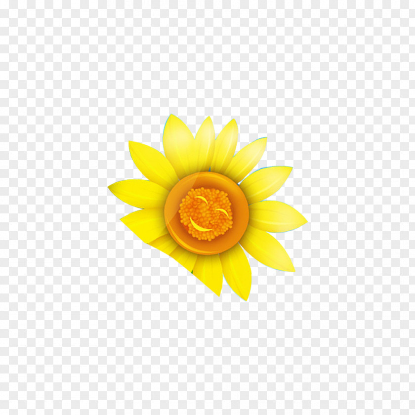 Sunflower Smile Google Images Wallpaper PNG