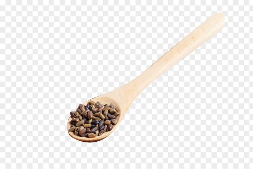 A Spoon Cassia Wooden PNG