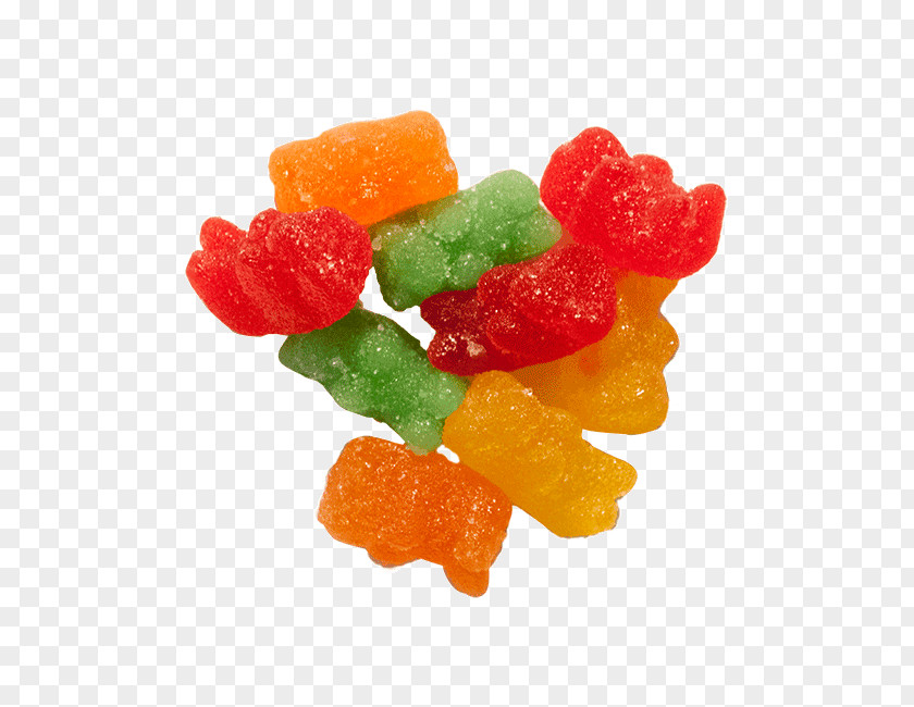 Bear Gummy Gummi Candy Gumdrop Jelly Babies PNG