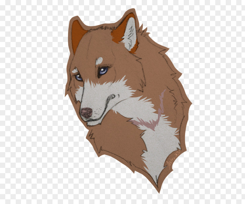 Bust Red Fox Cartoon Snout Tail PNG