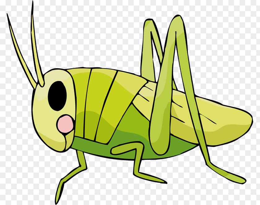 Insect Cartoon Fauna Yellow Clip Art PNG
