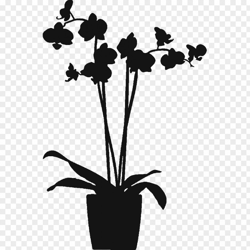 Orchids In Pots Protection Film, Large (48x120cm) Window Flowering PlantOrchid Branch Silhouette LADP PNG