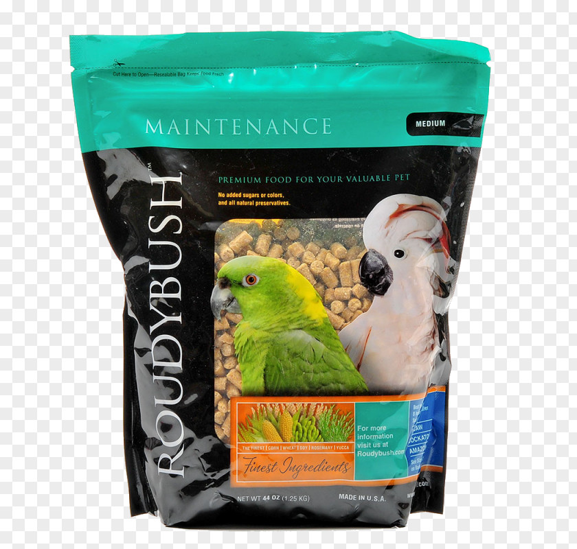 Parrot Roudybush Inc MINI Cooper Budgerigar Bird PNG