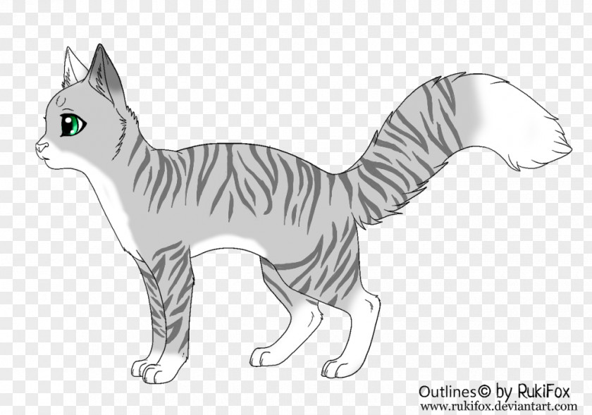 Cat Whiskers Tabby Domestic Short-haired Wildcat PNG