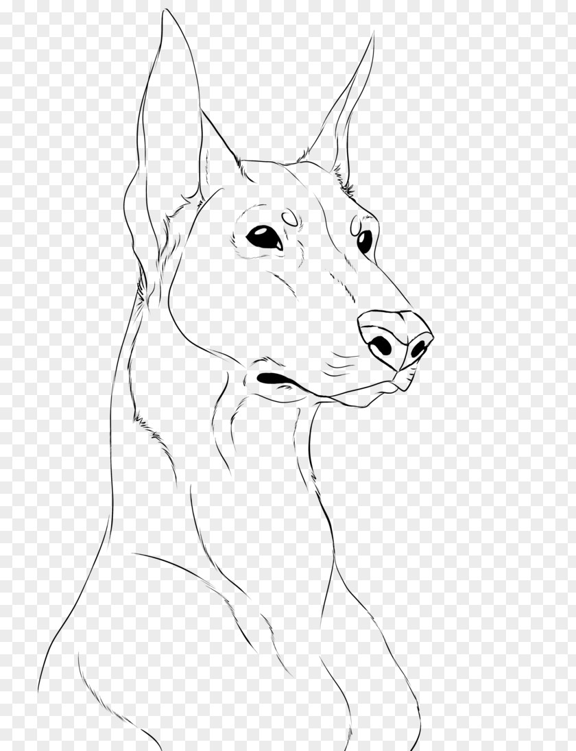 Dobermann German Shepherd Drawing Line Art Sketch PNG