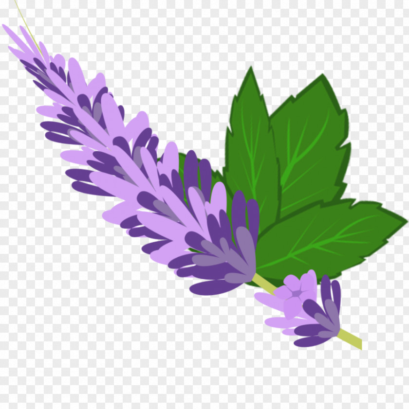 Lavender Pony Color Purple Green PNG