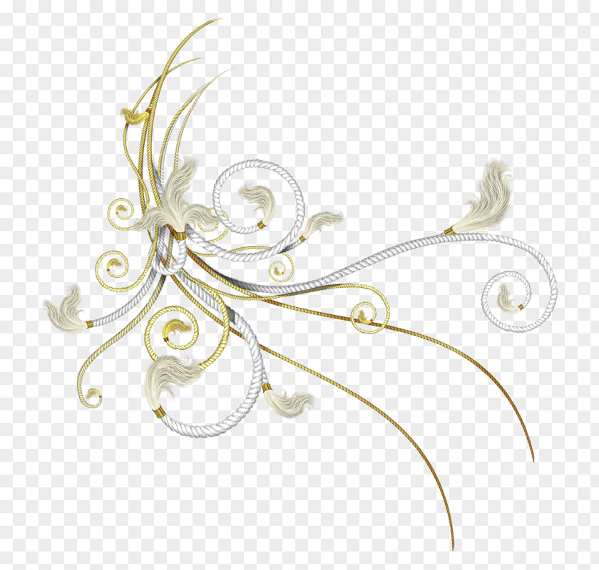 Oriental Decorative Adobe Photoshop Vignette Vector Graphics Clip Art PNG