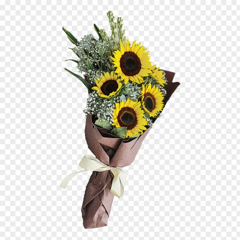 Owl Flowerpot Sunflower PNG