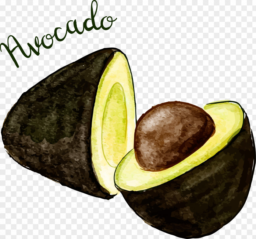 Vector Hand Painted Pork Fruit Avocado Skirt Euclidean PNG