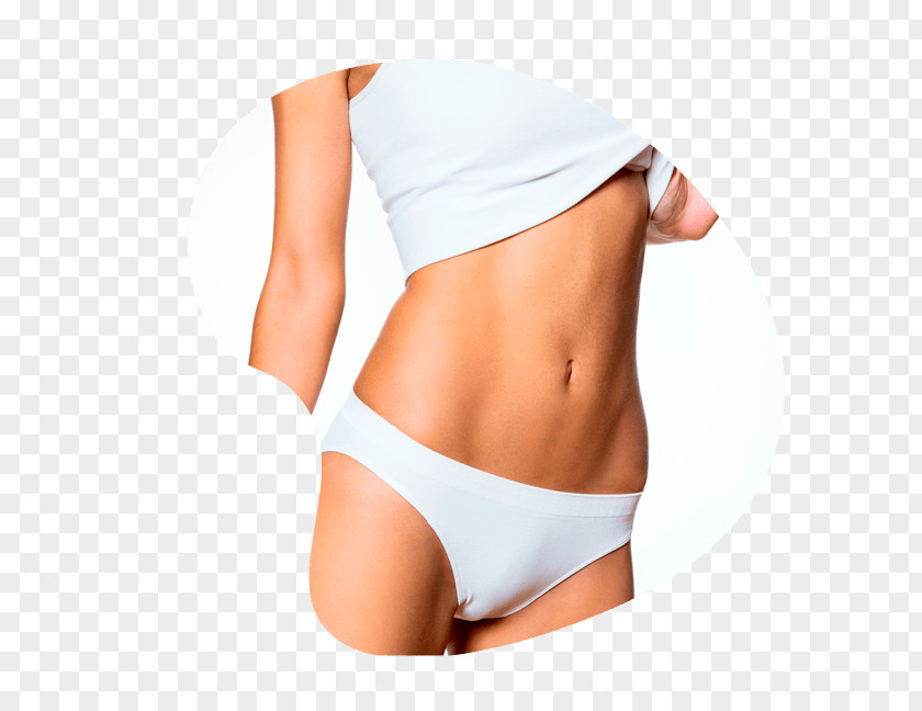 Depilacion Cryolipolysis Adipose Tissue Abdominoplasty Body Contouring Liposuction PNG