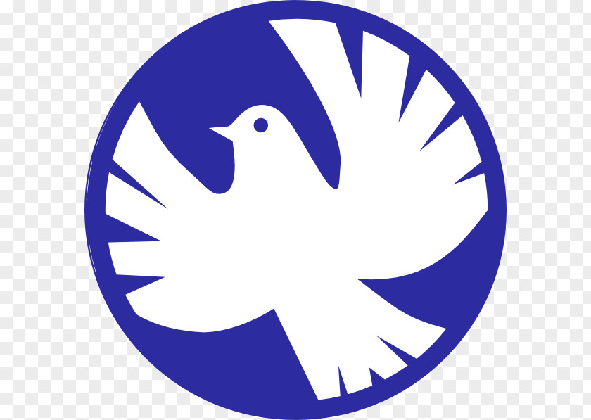 Dove Vector Columbidae Peace Doves As Symbols Clip Art PNG