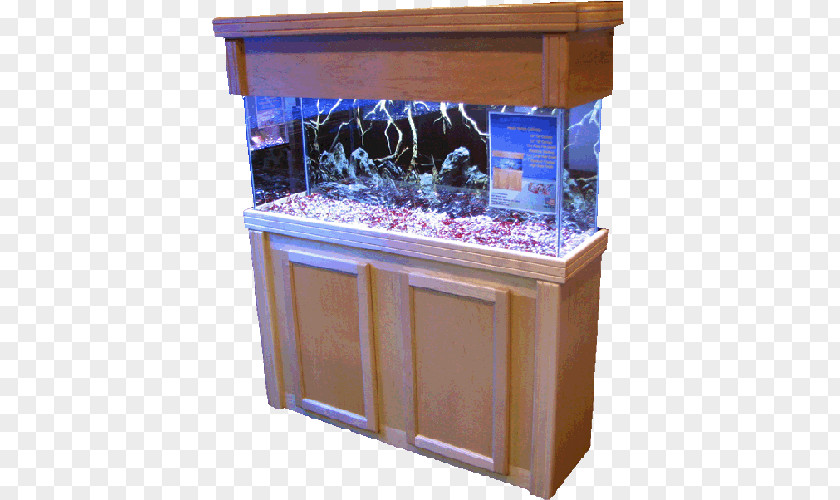 Fish Tank Aquarium Lighting Cabinetry Elmer's & Pet Center Tropical PNG