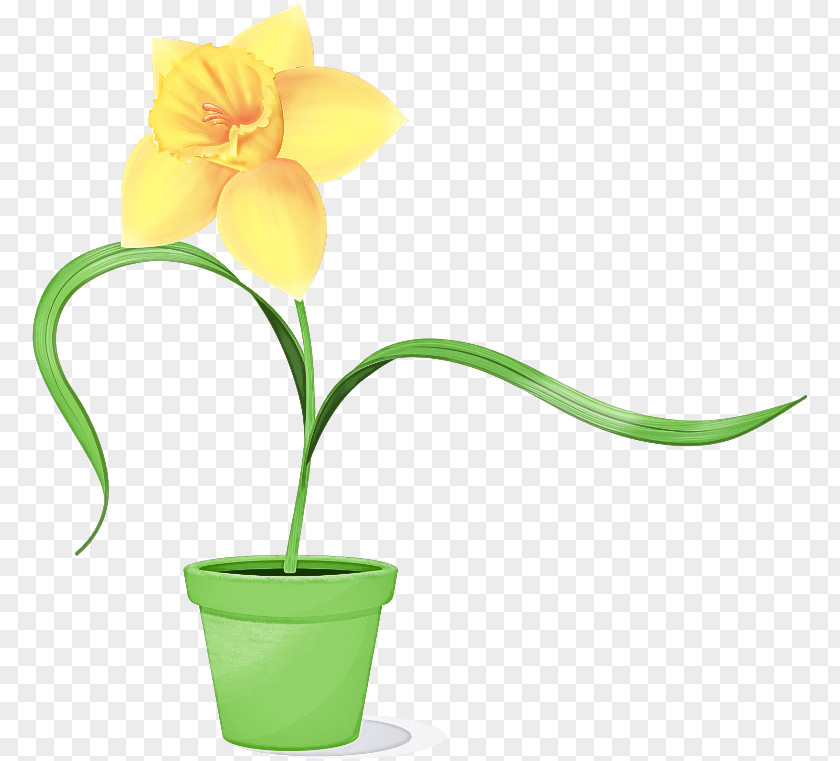 Flower Flowerpot Plant Yellow Houseplant PNG