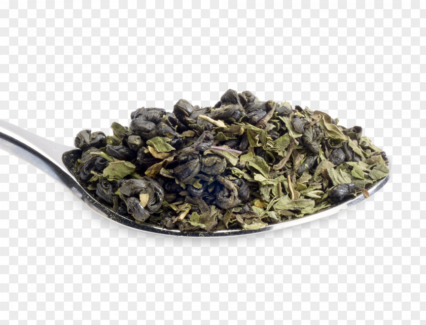 Mint Leaf Tieguanyin Gunpowder Tea Oolong Earl Grey Biluochun PNG