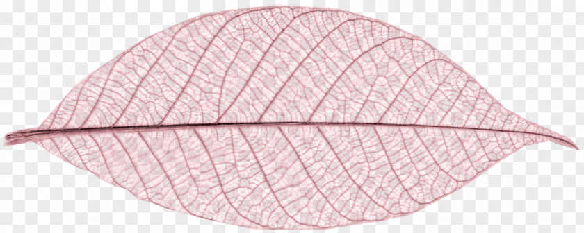 Pink Leaves Leaf PNG