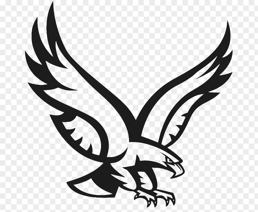 Bald Eagle Logo Clip Art PNG