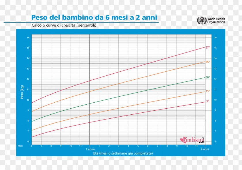 Child Growth Chart Weight And Height Percentile PNG