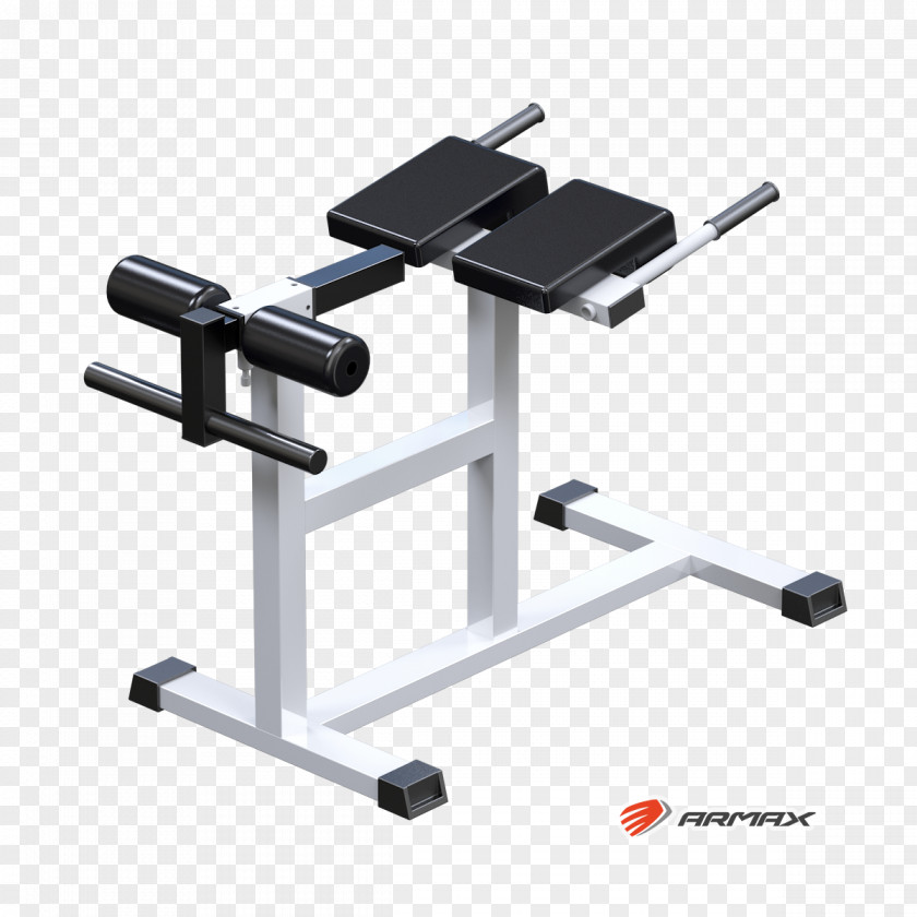 Ovary Exercise Machine Hyperextension Fitness Centre Roman Chair Physical PNG