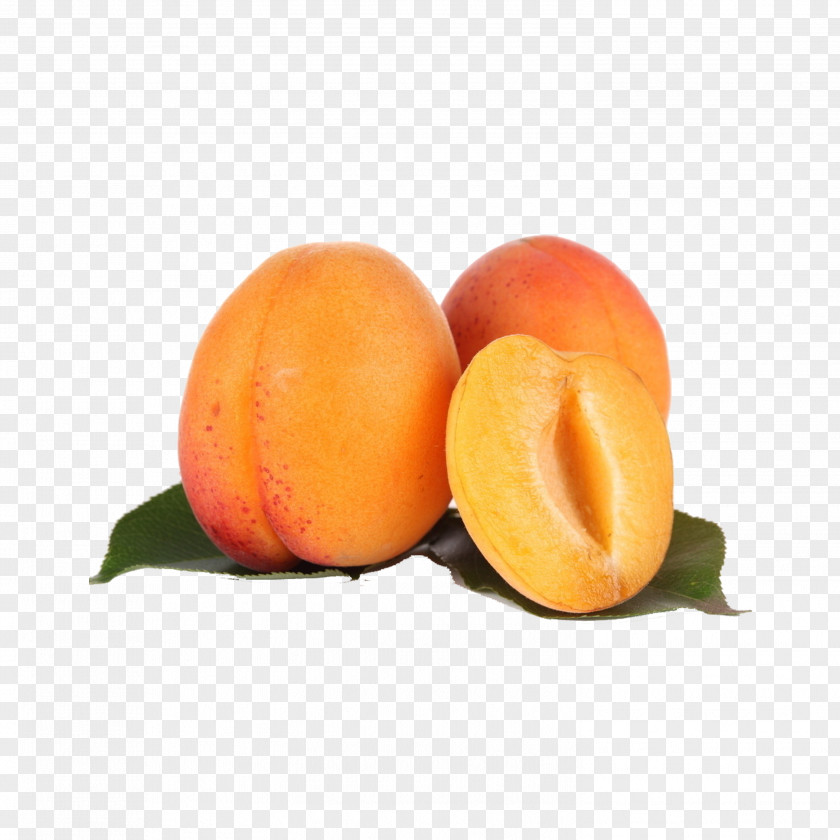 Peach Orange Juice Clementine Apricot PNG