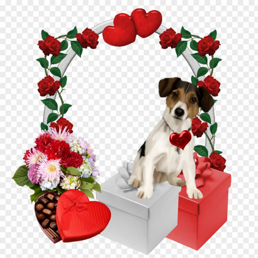Puppy Dog Breed Jack Russell Terrier Companion Pet PNG