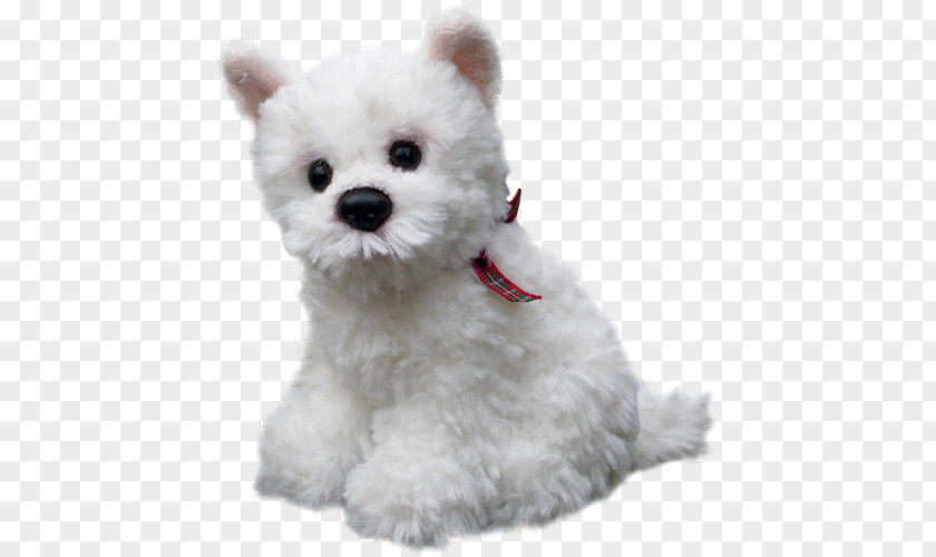 Puppy Maltese Dog West Highland White Terrier Breed Border PNG