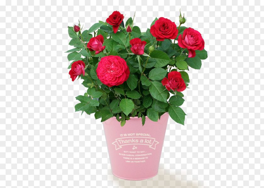 Rose Flower Bouquet Delivery PNG