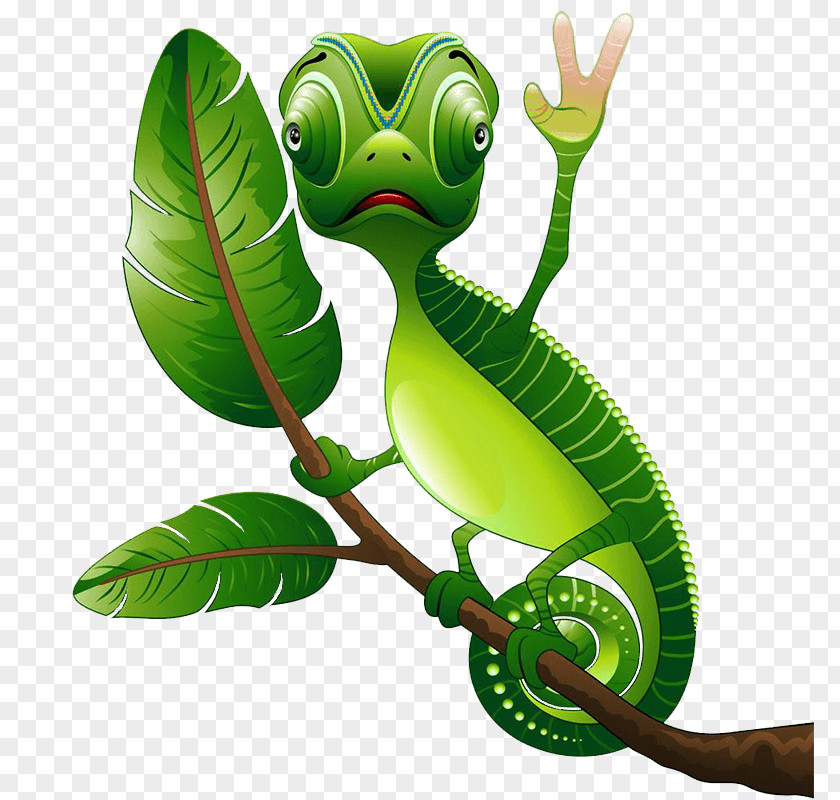 Camileon Background Chameleons Animated Cartoon Image Vector Graphics PNG