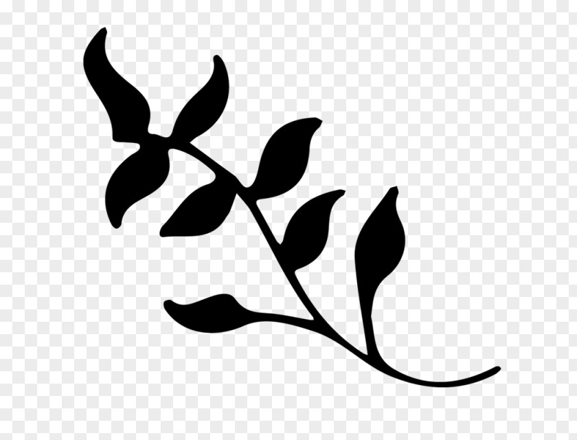 Clip Art Twig Flower Plant Stem Leaf PNG