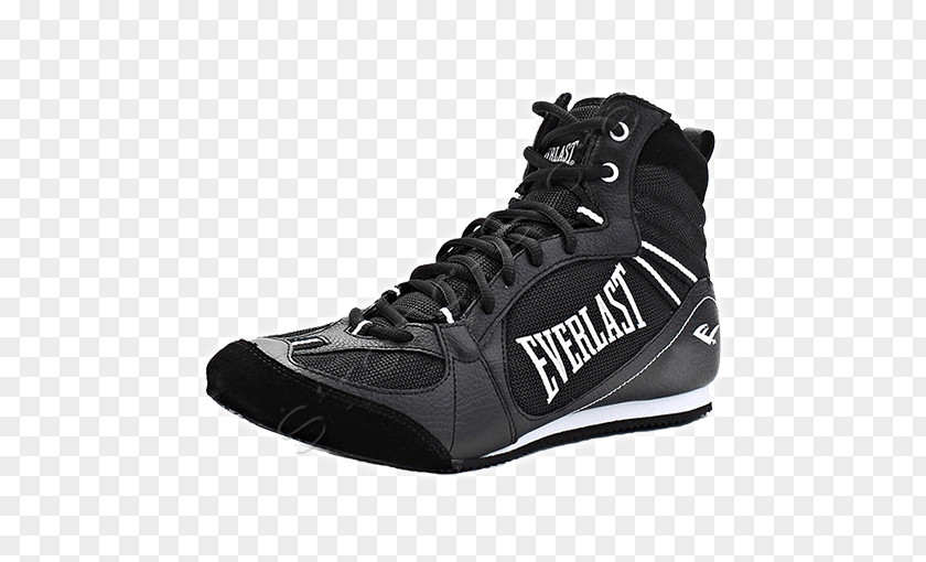 Everlast Shoelaces Sneakers Sports PNG