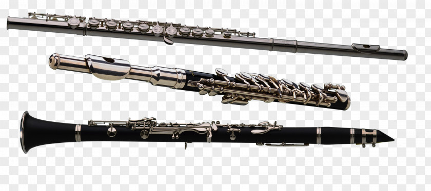 Flute Clarinet Family Gun Barrel Piccolo Flageolet PNG