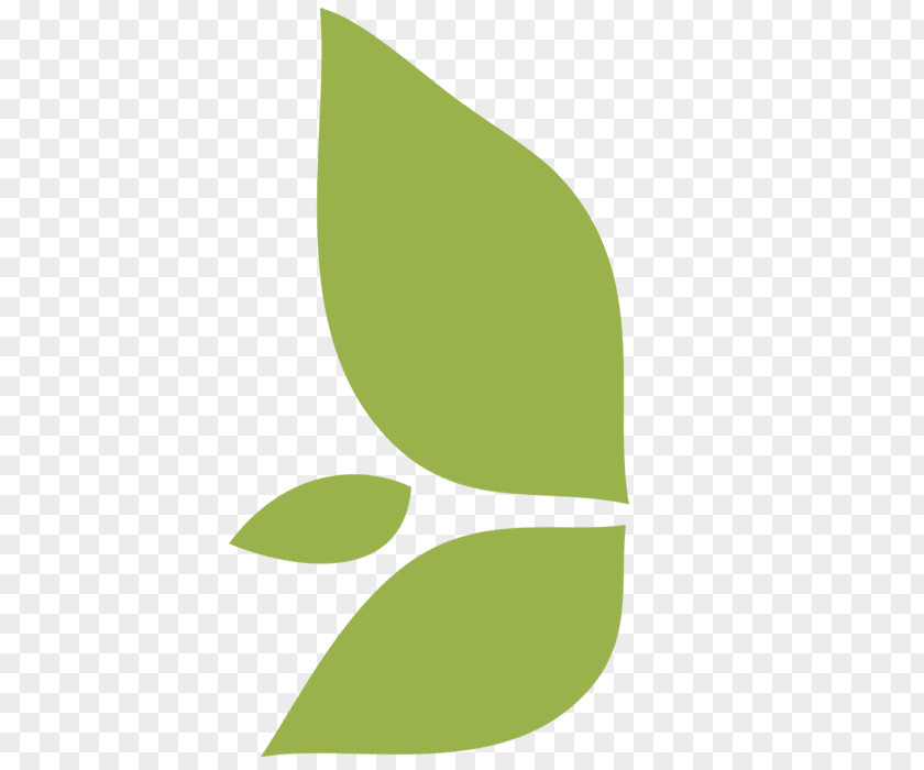 Leaf Logo Font PNG