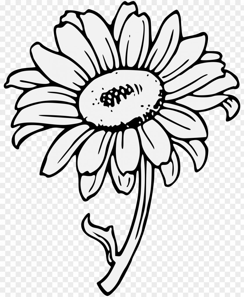 Sunflower Leaf Common Download Clip Art PNG