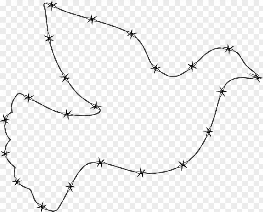 Barbwire Barbed Wire Fence PNG