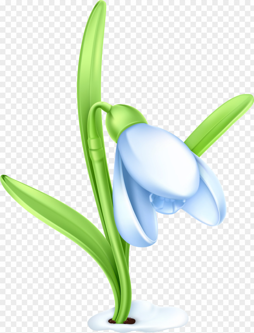 Dandelion Snowdrop Clip Art PNG