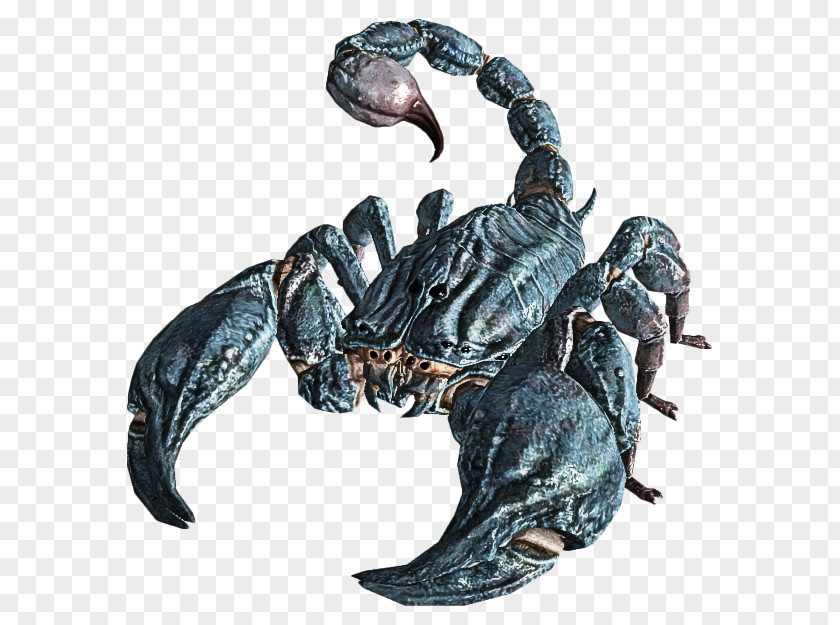 Scorpion Crab Arachnid Decapoda Claw PNG
