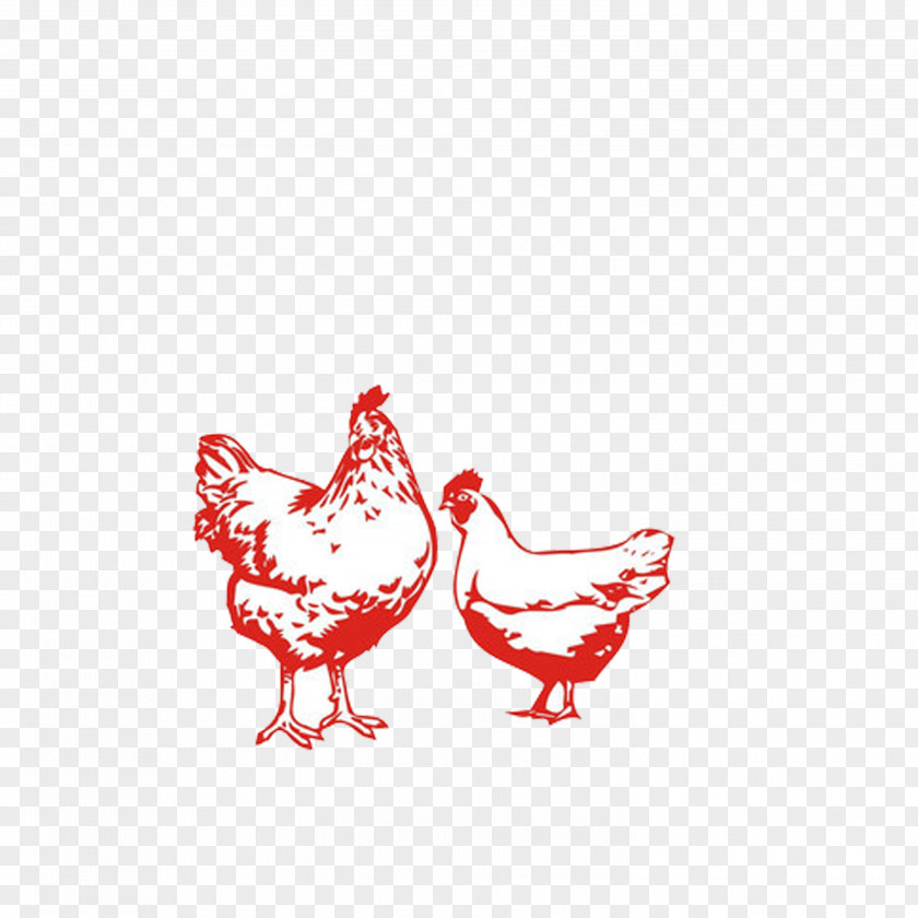 Chicken Livestock Poultry PNG