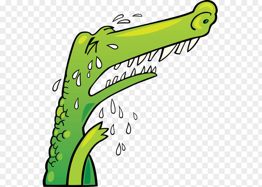 Crocodile Water Tears Alligator Clip Art PNG