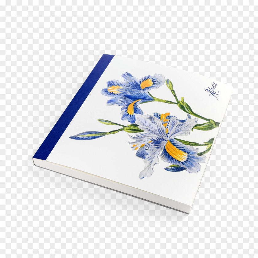 Design Cobalt Blue Floral Rectangle PNG