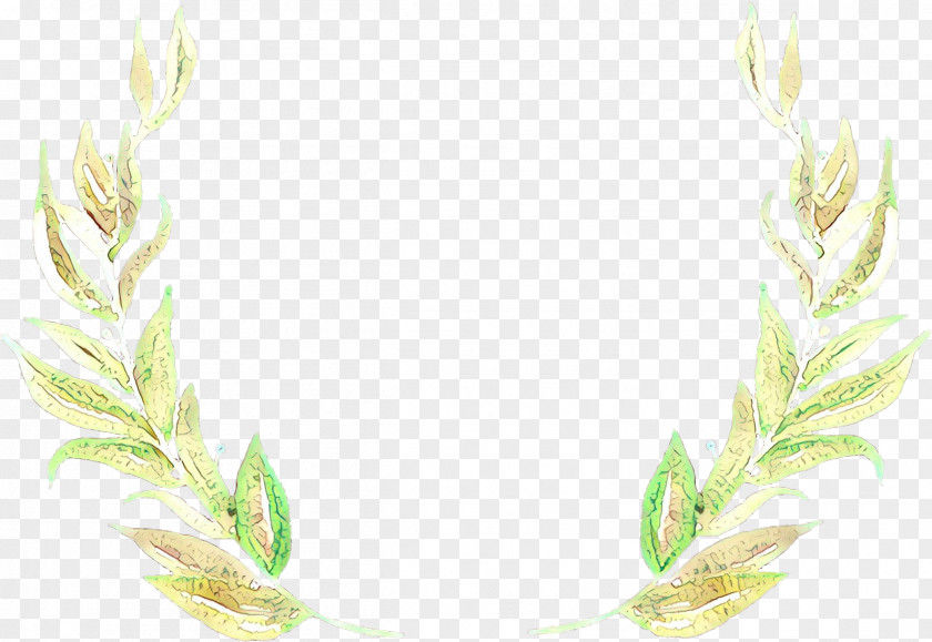 Feather PNG