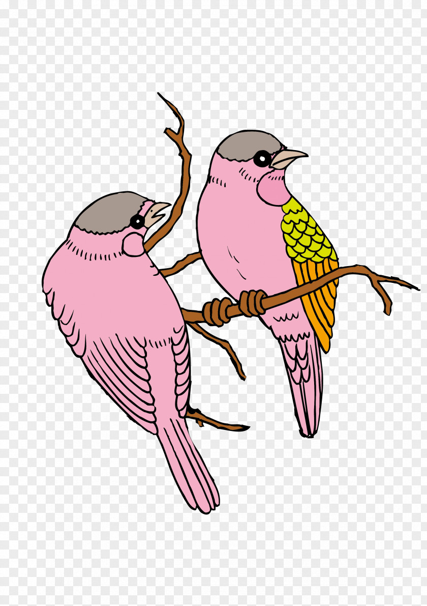 One Pair Of Birds In The Branches Called Cha Bird Euclidean Vector PNG