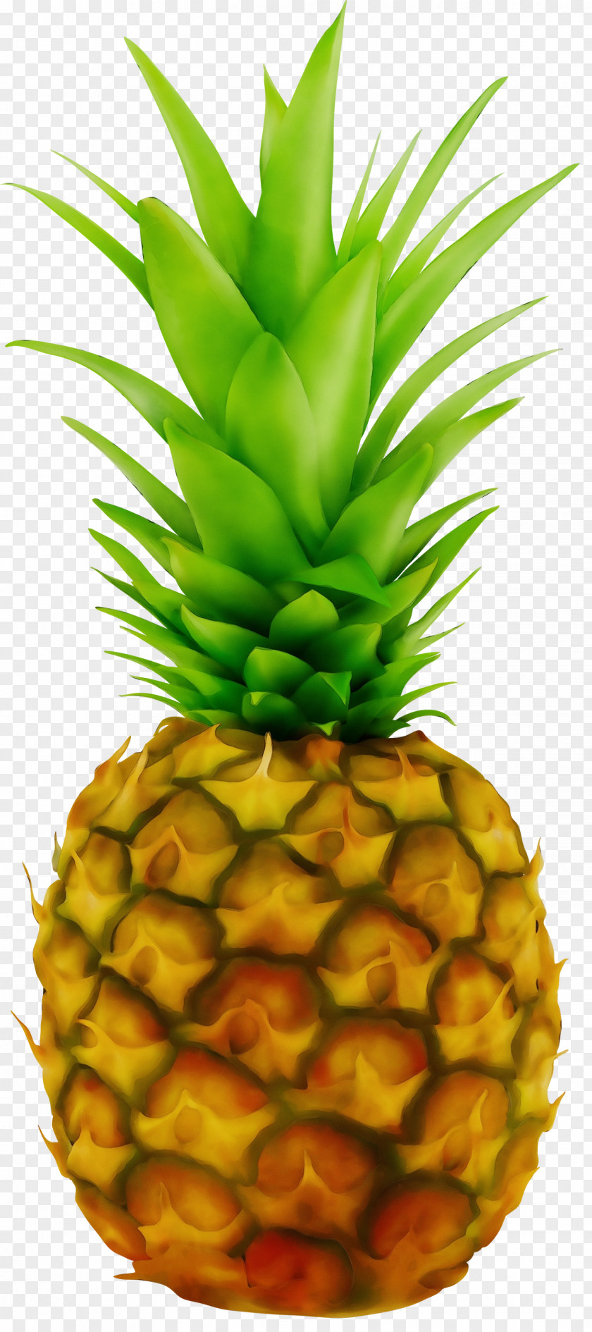 Pineapple Punch Juice Clip Art PNG