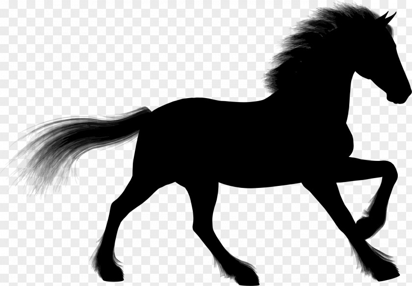 Silhouette Stallion Arabian Horse Foal Clip Art PNG