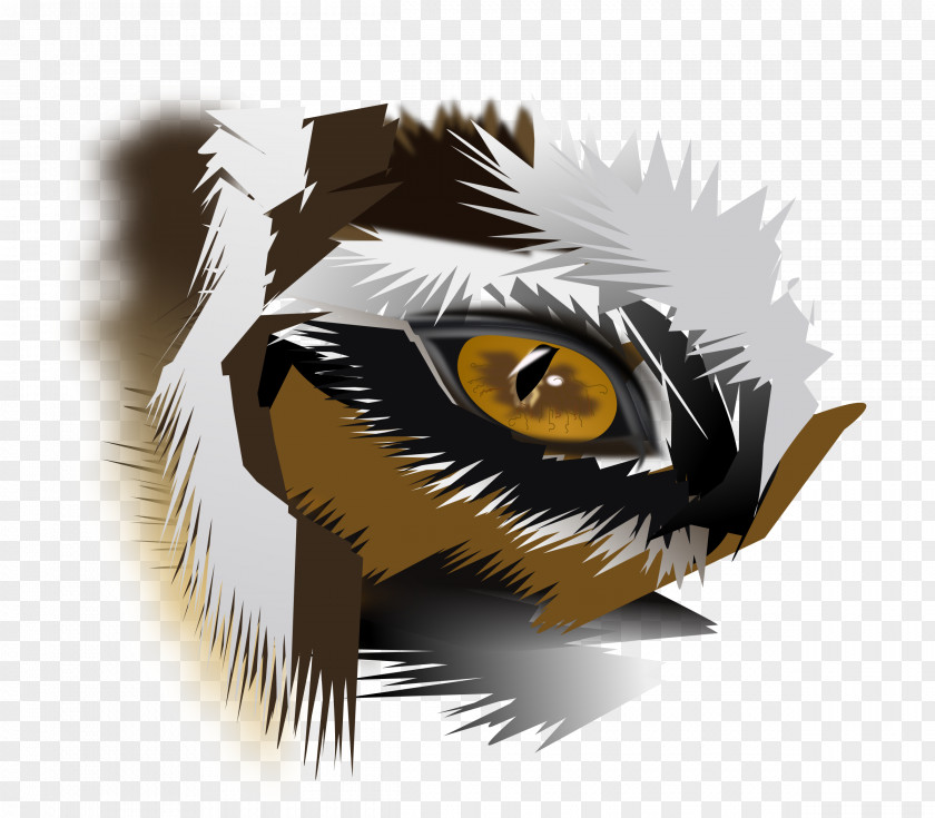 Tiger Eyes Cliparts White Clip Art PNG